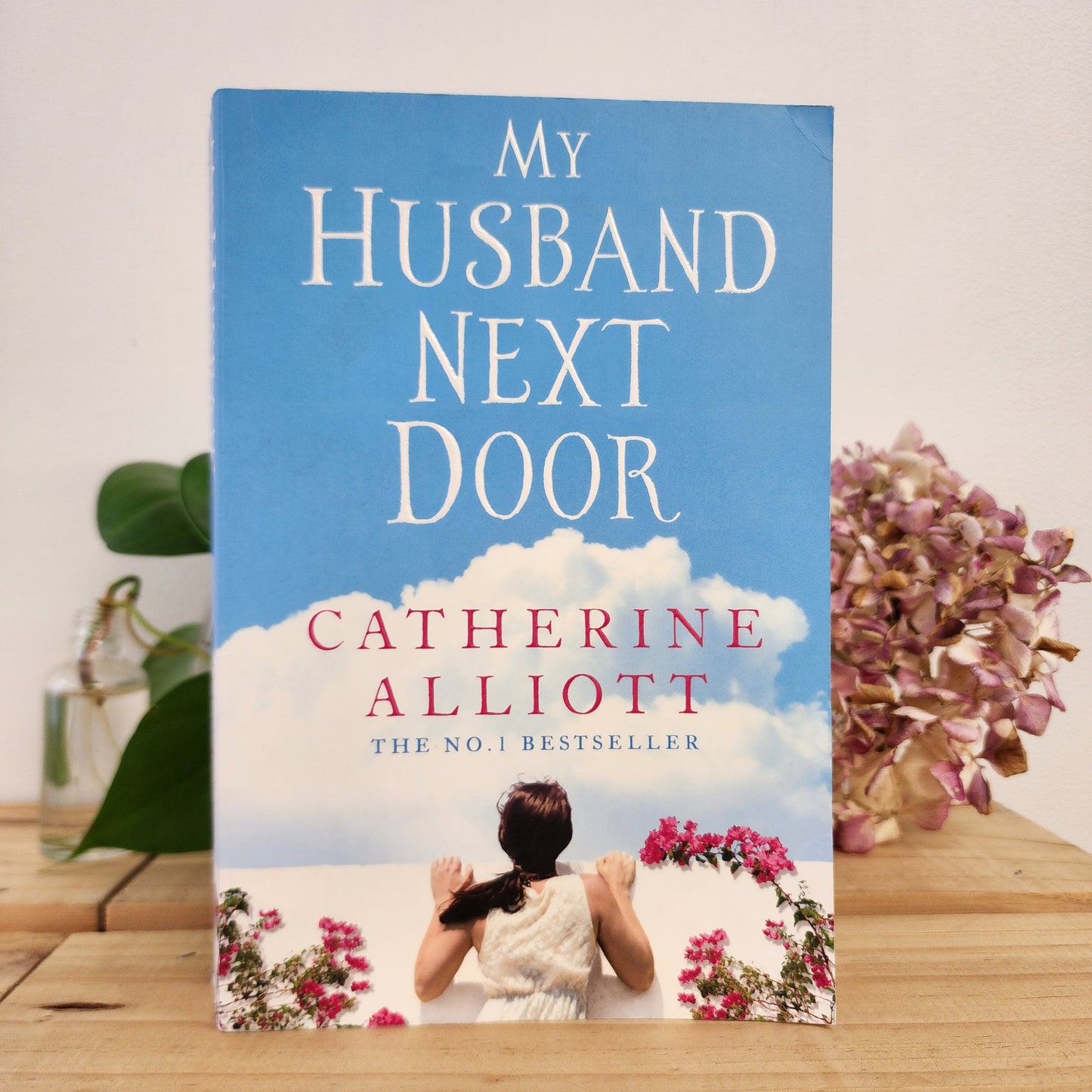 My Husband Next Door by Catherine Alliott