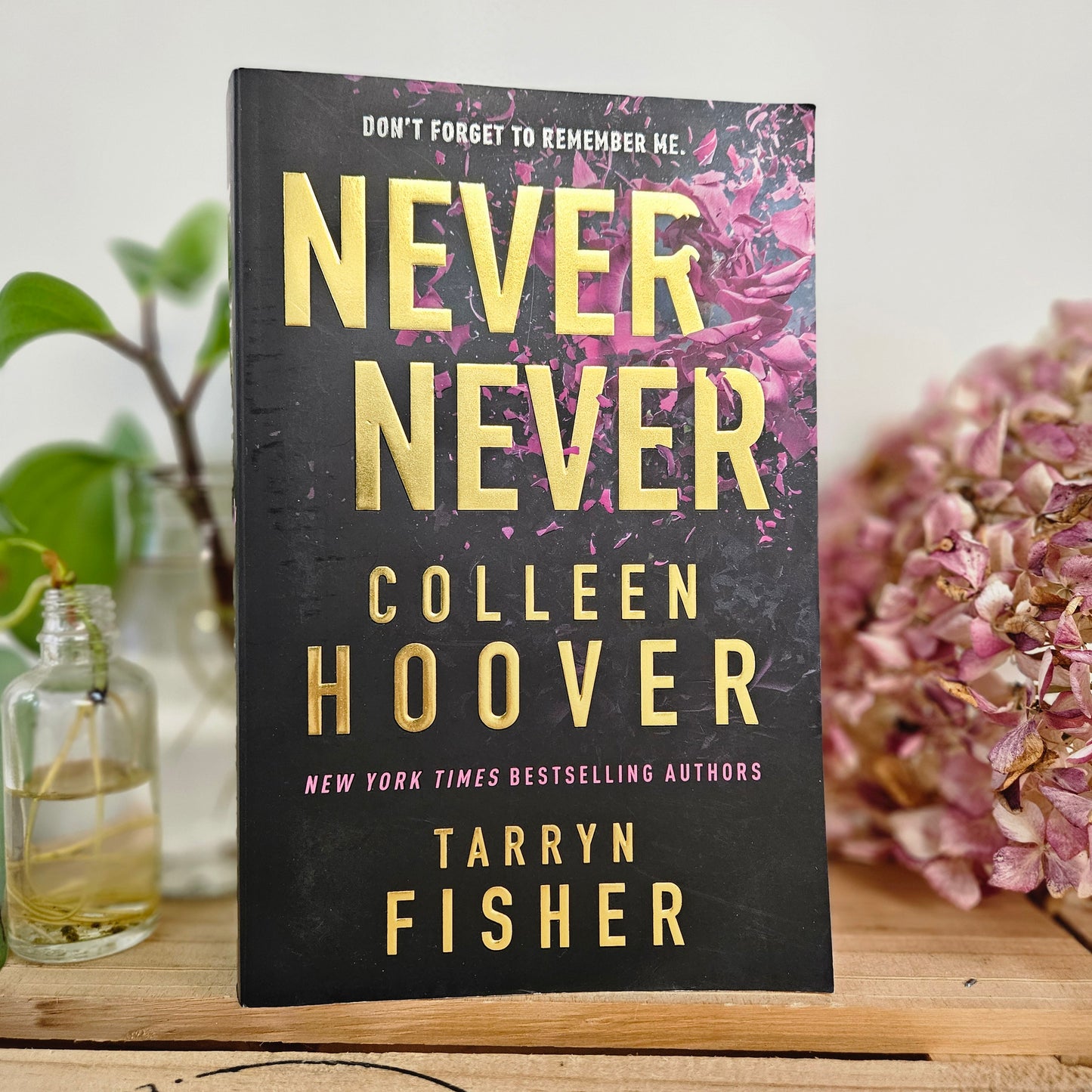 Never Never by Colleen Hoover